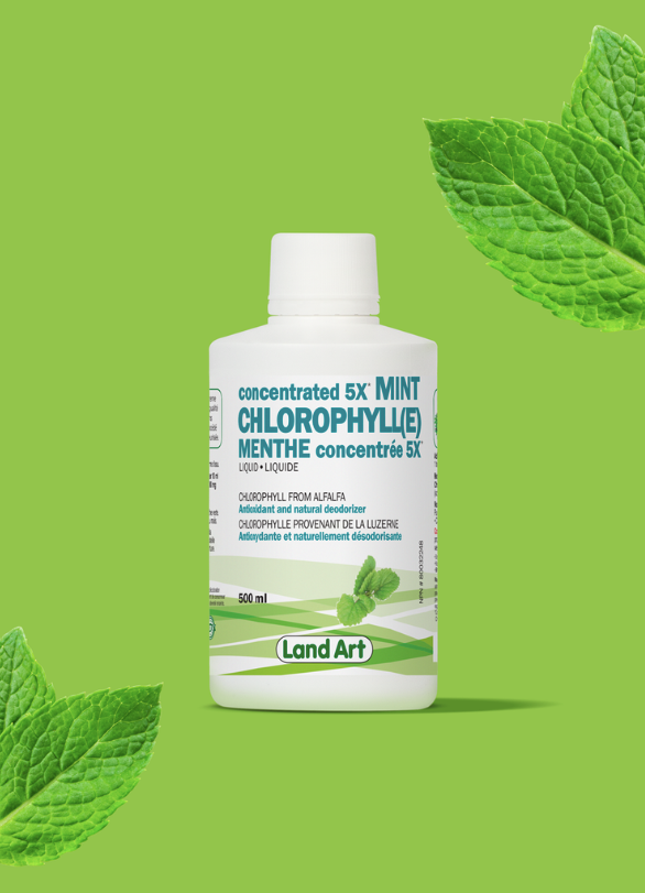 Chlorophylle 5X - Liquide 500ml - Menthe - Land Art